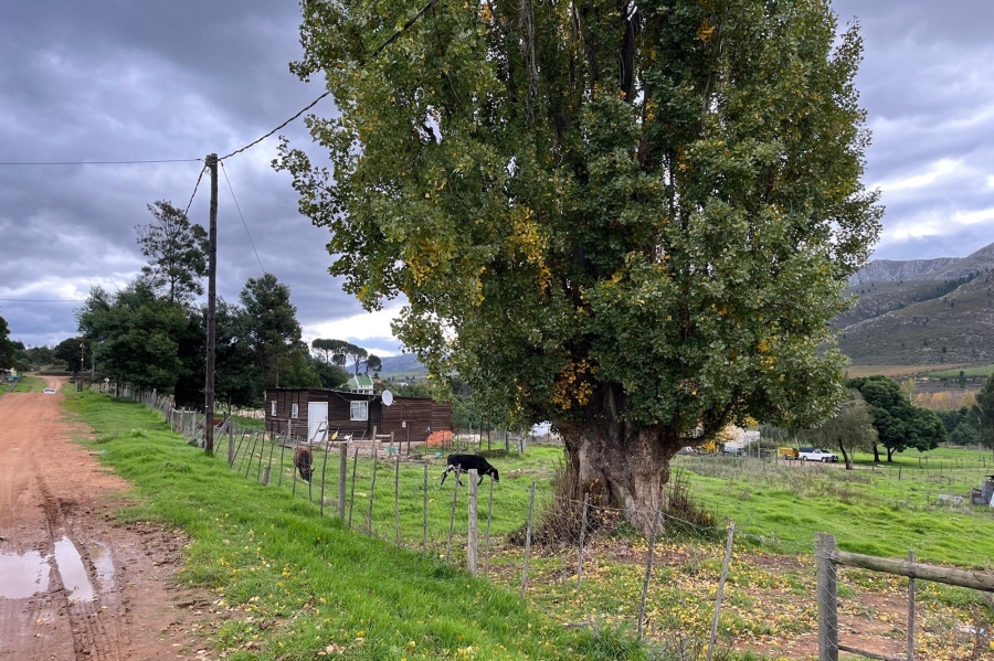 0 Bedroom Property for Sale in Haarlem Western Cape
